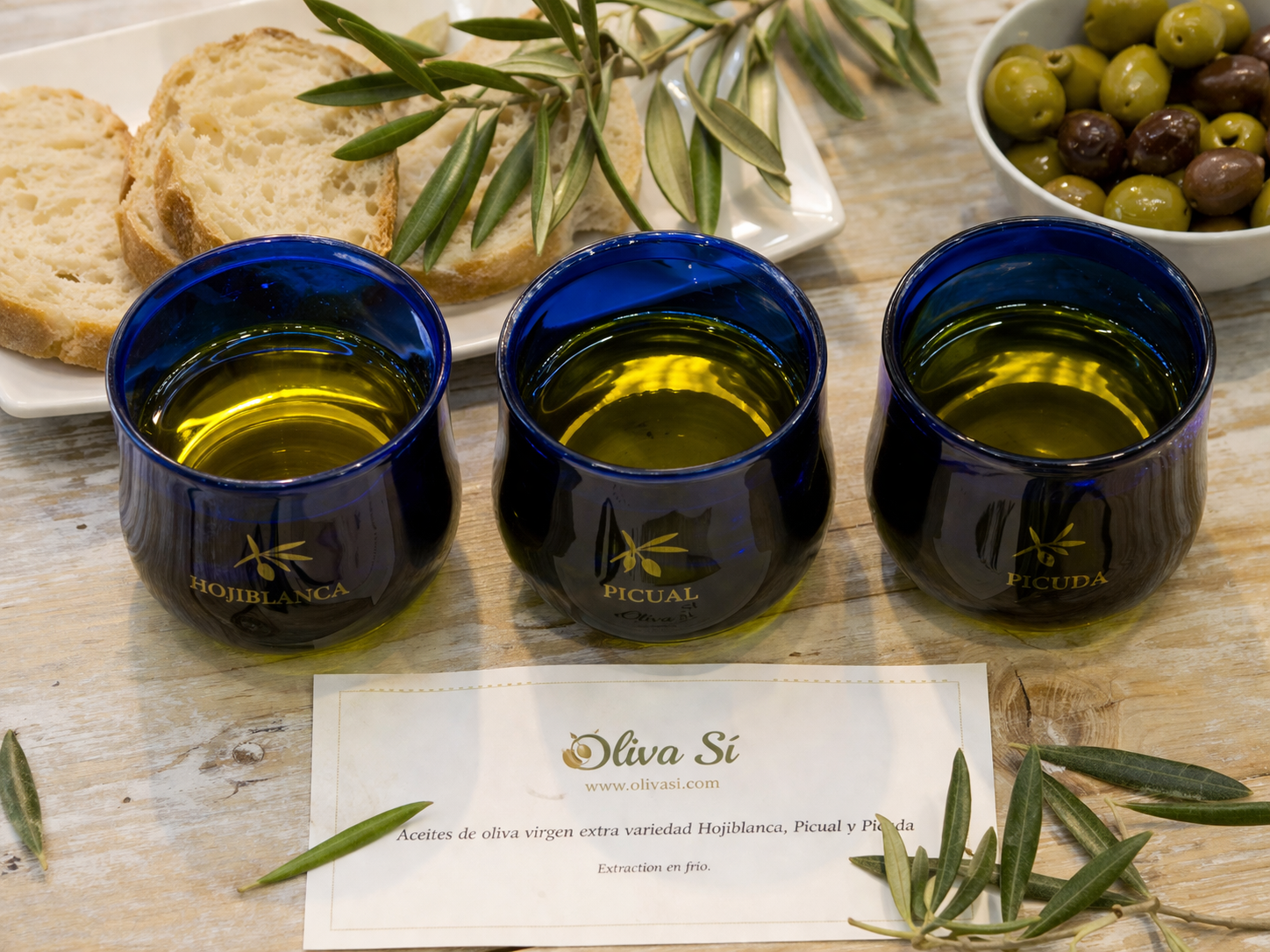 Hojiblanca vs Picual vs Picuda: diferencias, sabor y cuál elegir